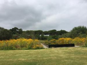 Quinta Do Miguel