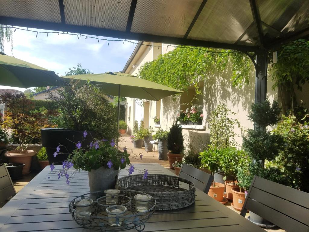 Terres de France - Domaine de Claire Rive 46220 Prayssac