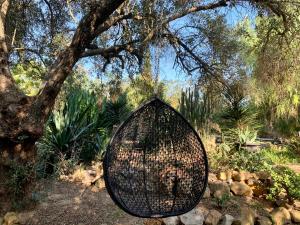 Casa Stardust cottages