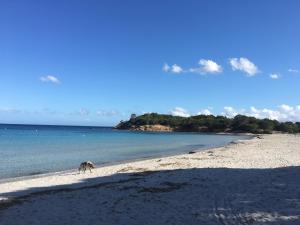 Casale di Mare Palombaggia