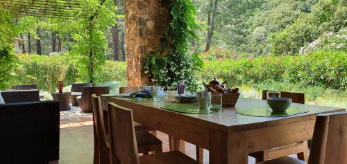 Domaine Codaleone