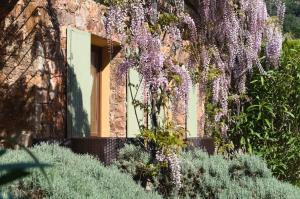 Domaine Codaleone