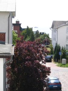 Villa Elfriede