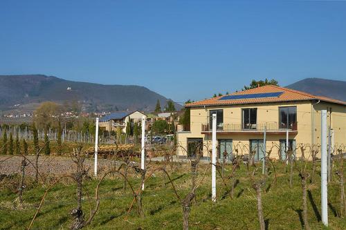 Maison d'hôtes Vinotel Dollt-Kern Bachstrasse 19 Flemlingen