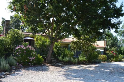 Maisons de vacances Vivenda A Nossa Coroa Vale Do Forno Coja