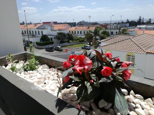 Vizinha's Apartment Ponta Delgada portugal