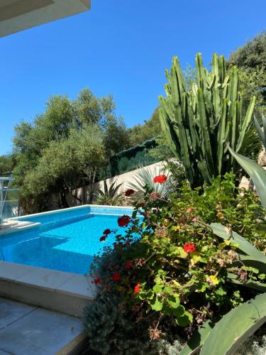 Villa VIzzavona piscine et jacuzzi Chemin des Lentisques Ajaccio