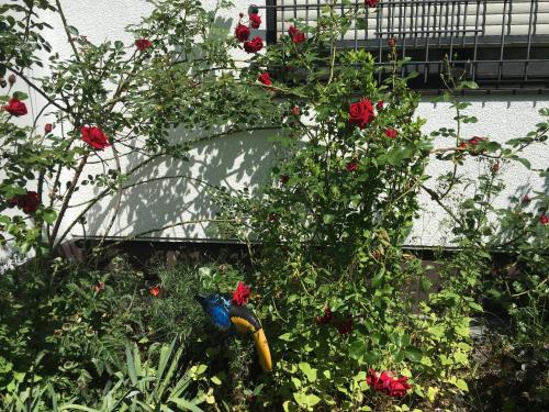 Appartement Vor den Toren Bambergs - Einfamilienhaus mit Garten! Im Stämmig 40 Viereth-Trunstadt