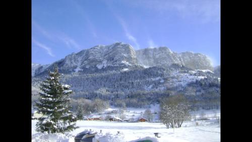 Appartement Votre studio balnéo bien-être à la montagne 87 Route Sur le Crêt Thollon-les-Mémises