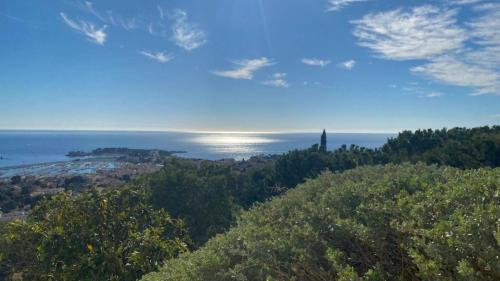 VUE MER EXCEPTIONNELLE - GRANDE TERRASSE et PISCINE Bandol france