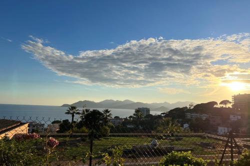 Vue mer jardin piscine & pkg Cannes france