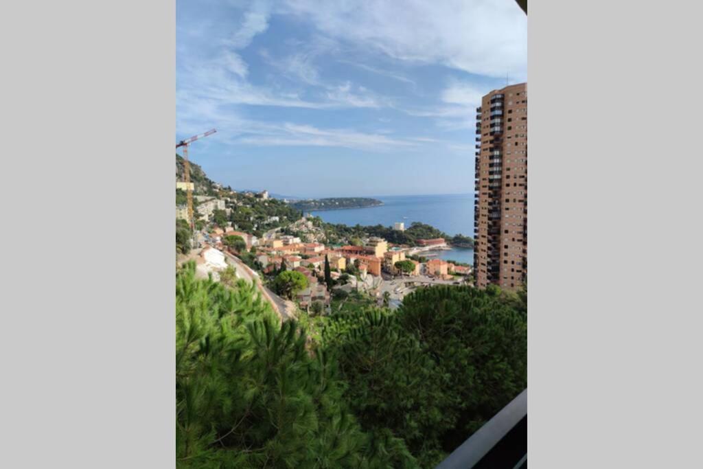Appartement Vue mer Monaco 4 Avenue de Saint-Roman, 06240 Beausoleil