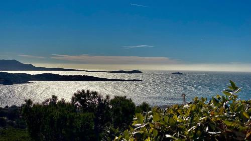 Vue mer panoramique et piscine Bandol france