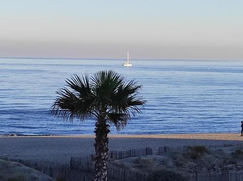 Vue Mer Panoramique WIFI gratuit Le Barcarès france