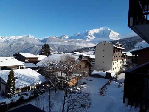 Vue Mont Blanc et toute la chaîne Combloux france