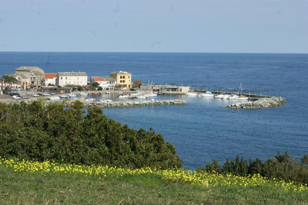 Appartement Vue sur mer à Santa Severa - Appartement Les Cyprès Lieu-dit Chioso Gavino, 20228 Marine de Luri