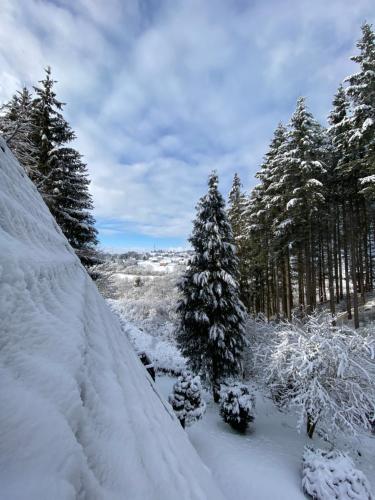 Wald-Chalet Vulkaneifel Kerschenbach allemagne