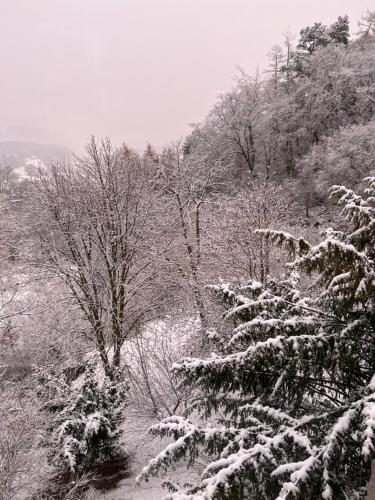 Wald Panorama Appartement Battenberg allemagne