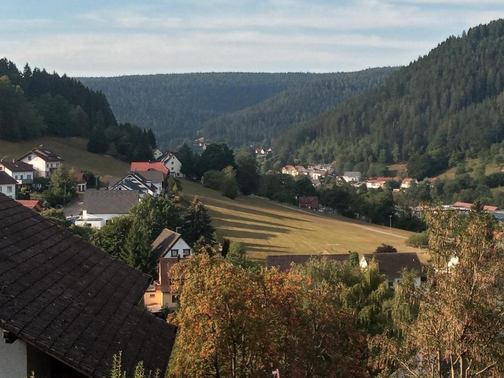 Appartement Waldblick 57 Falkenstraße, 72270 Baiersbronn