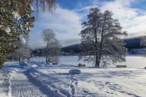 Waldblick Titisee (W2) + Hochschwarzwald Card Titisee-Neustadt allemagne