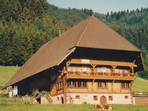 Wäldebauernhof Gutach allemagne