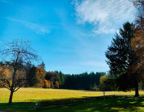 Maison d'hôtes Waldgasthof zum Geländer Geländer 1 Eichstätt