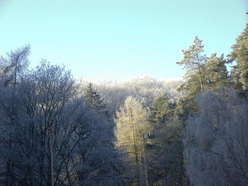 Hôtel Waldgaststätte Sennhütte Napptal 2 Bad Frankenhausen