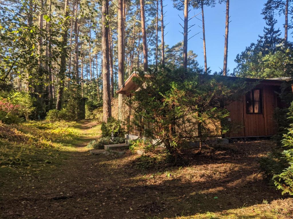 Camping Waldhäuschen an der Ostsee Am Waldwinkel 1, 17509 Lubmin