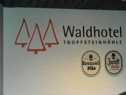 Hôtel Waldhotel Tropfsteinhöhle Pfaffenberg 1 Wiehl