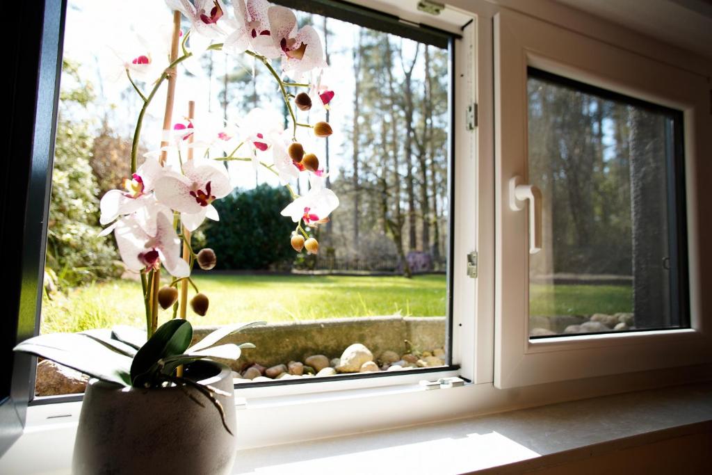 Appartement Waldidylle 6 Holzweg, 29482 Küsten