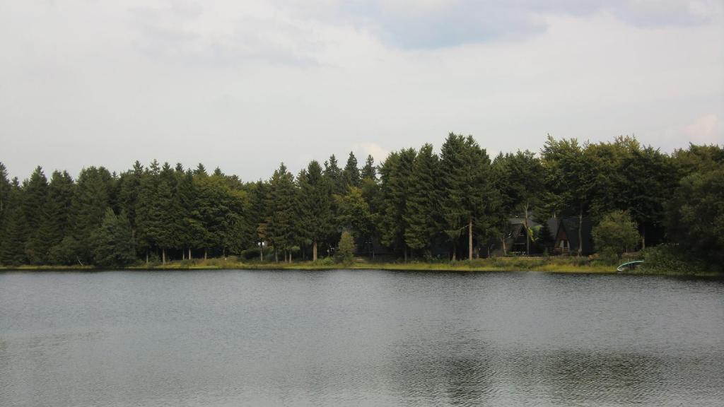 Village vacances Waldsee Feriendienst 'Ferienpark am Waldsee' Mönchstalweg 30, 38678 Clausthal-Zellerfeld