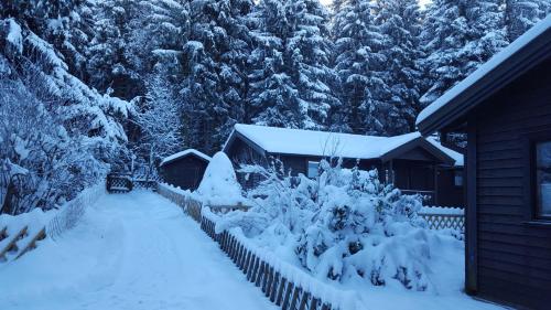 Waldsee-Ferienhaus-mit-Kamin-W-Lan Clausthal-Zellerfeld allemagne