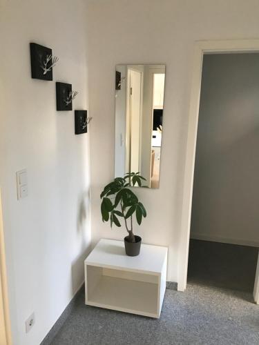 Appartement Wander- und Aktivchalet Parkstraße 10 Birkenfeld