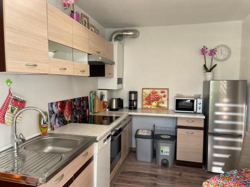 Appartement Wehr Orchidee Apartment 74 Todtmooser Strasse ground floor Wehr
