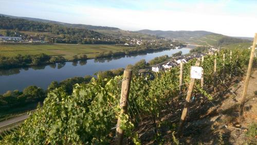 Maison d'hôtes Wein- und Gästehaus Genetsch Auf Zevenich 14 Lieser