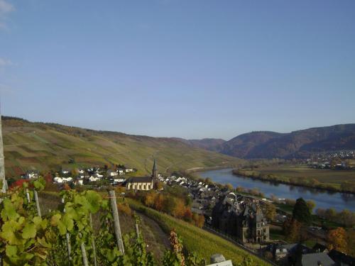 Wein- und Gästehaus Genetsch Lieser allemagne