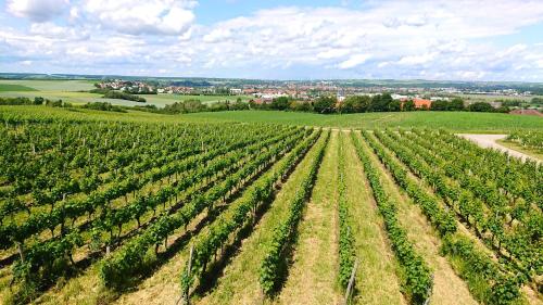 Weinbergshof Rickel Kitzingen allemagne