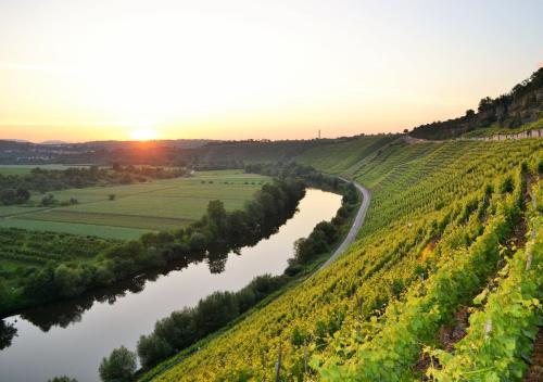 Weinblick Besigheim allemagne