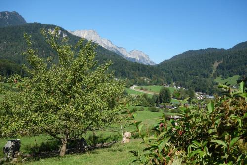 Appartements Weinfeldhof Weinfeldweg 13 Berchtesgaden