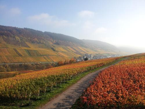 Maison d'hôtes Weingut-Brennerei-Gästehaus Emil Dauns Zum heißen Stein 20 Reil