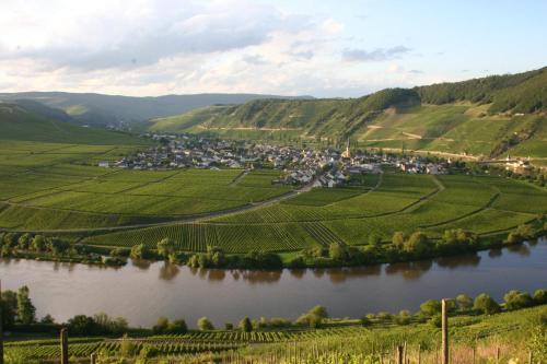 Weingut Claes Schmitt Erben Trittenheim allemagne