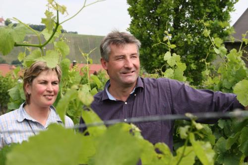 Weingut Herbert Kram Nordheim allemagne