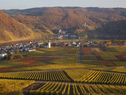 Appartements Weingut im Moselkrampen Am Stausee 3 Ellenz-Poltersdorf