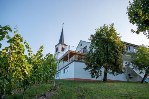 Weingut Johanneshof Minheim allemagne