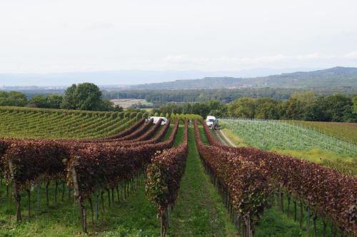 Weingut Landmann Ferienwohnungen Fribourg-en-Brisgau allemagne