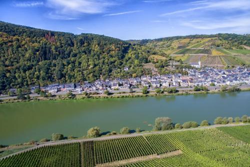 Maison d'hôtes Weingut Pension Gibbert-Pohl Moselstraße 4 Briedel