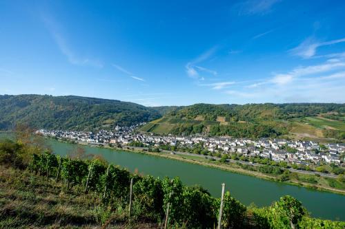 Weingut Pension Gibbert-Pohl Briedel allemagne