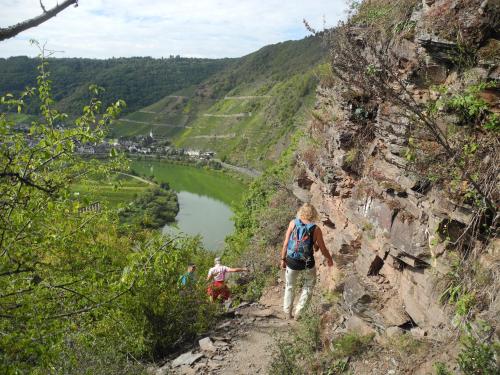 B&B / Chambre d'hôtes Weingut Pension Hammes-Krüger Weinstraße 13 Ellenz-Poltersdorf