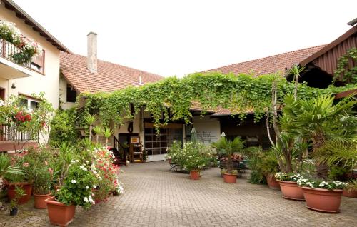 Maison d'hôtes Weingut und Gästehaus Vongerichten Obere Hauptstr. 22 Oberhausen