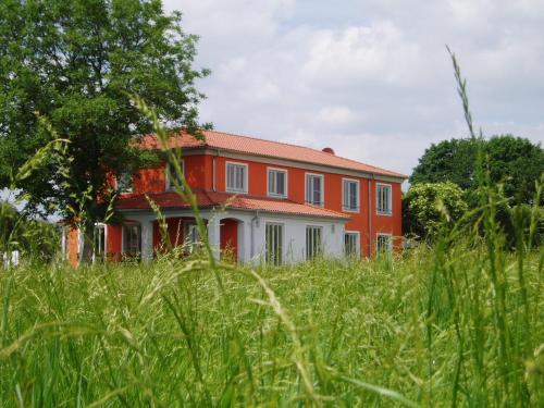 Weinhof am Nussbaum Willanzheim allemagne
